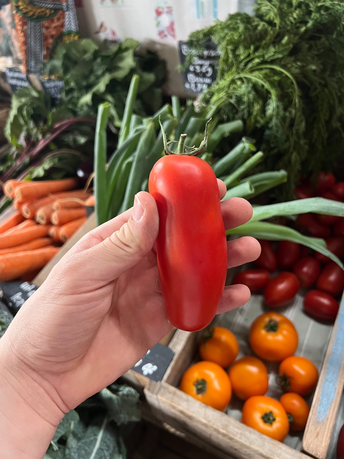 Bio San Marzano Tomaten - 500gr