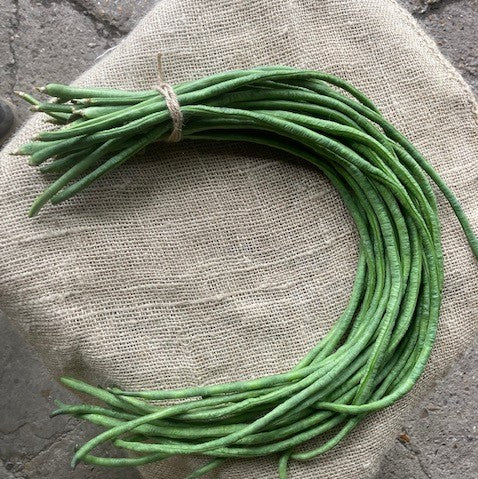 Bio Kouseband - 250gr
