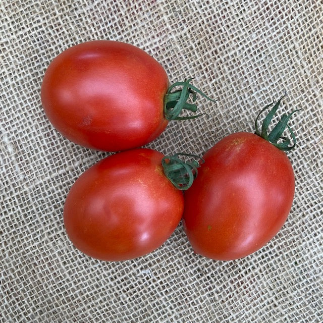 Bio Roma tomaten - 500gr