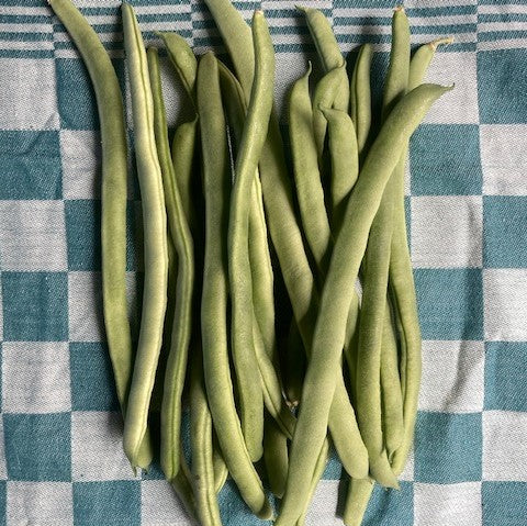 Bio Spekbonen - 250gr