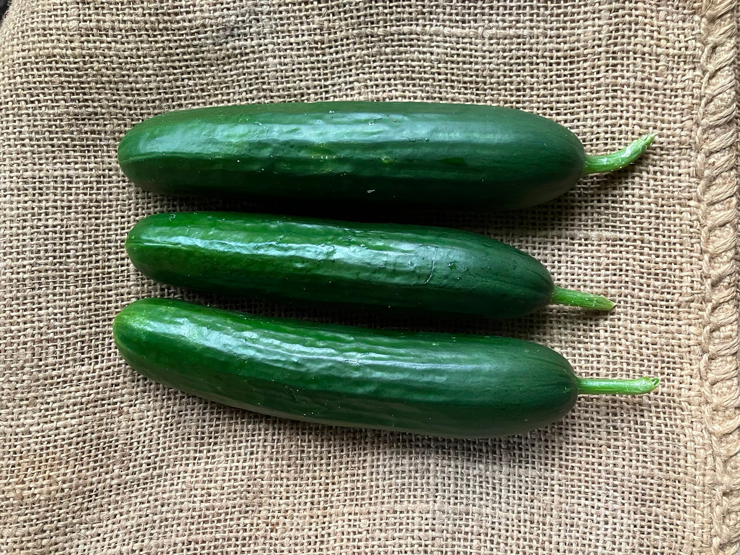 Bio mini komkommers - 4 stuks