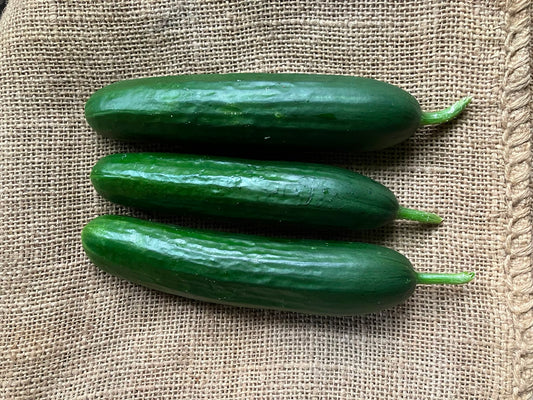 Bio mini komkommers - 4 stuks